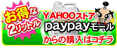 paypayモールでとるゾウ2L購入