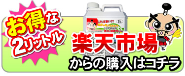 楽天でとるゾウ2L購入